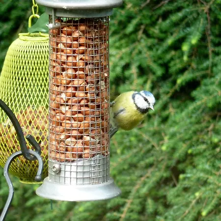 Burn Garden - On Windermere 4* Боунес-он-Уиндермер