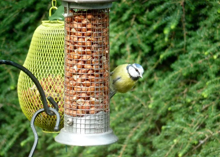 Burn Garden - On Windermere 4* Bowness-on-Windermere